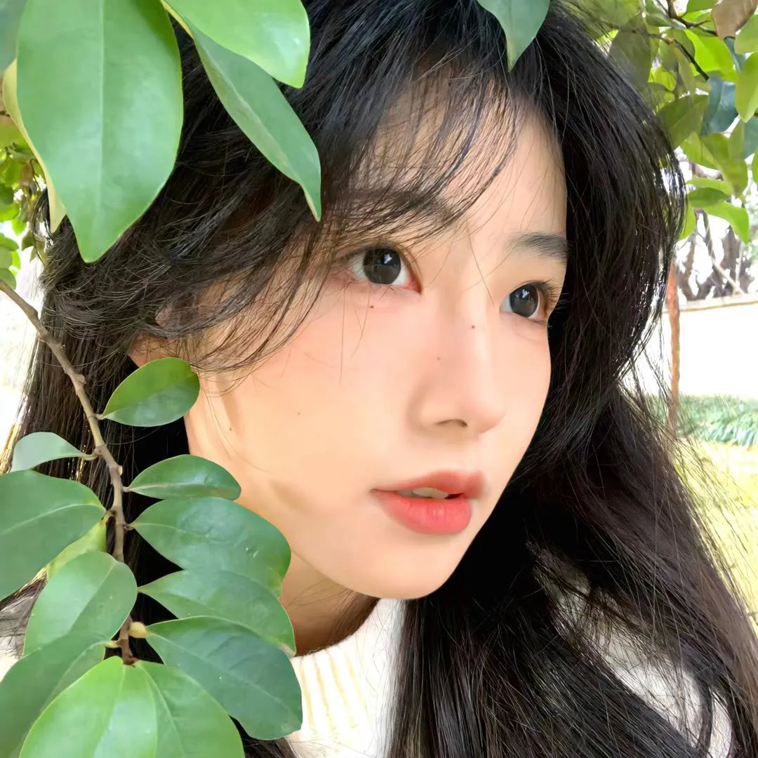 诚实国度的爱丽丝